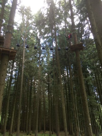 IMG 2871